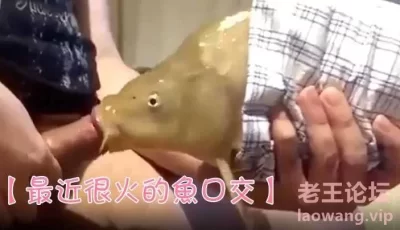 【最近很火的鱼口交】鱼都被迫下海了吗 [00:22]
