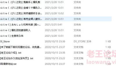 [自行打包] 画师合集 [こんにゃく]7本 [Np+1.1g][百度盘]
