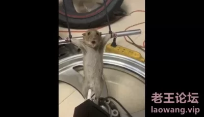 @20207330094 用户上传：电击小鸡鸡 [00:01]