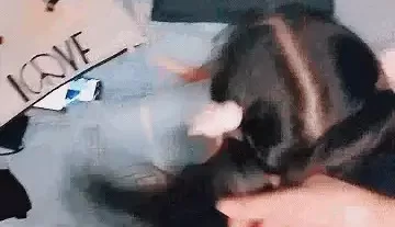 [转载搬运] 邻家有女初长成无毛白虎小嫩逼又紧又粉让大哥一下插进.. [1+347m][百度盘]