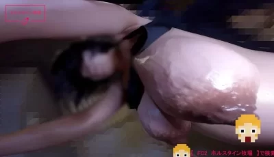 [转载搬运] fc2 怀孕 孕妇 巨乳 【7日後に出産する超乳】 [1v+1.7g][百度盘]