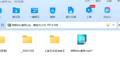 [自行打包] 【媚黑剪辑/中配英字】终极bbc崇拜 [1v+800M][百度秒传]