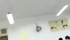 [转载搬运] 【大二学妹】教室课堂上露奶宿舍偷拍舍友绝品馒头逼... [5v+2.35g][百度盘]