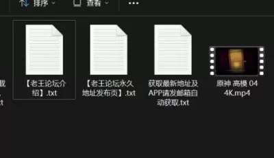 [自行打包] 原神 鸣潮 星穹铁道 绝区零 高模 4K （52g大合集） [1+52.282 GB][百度盘]