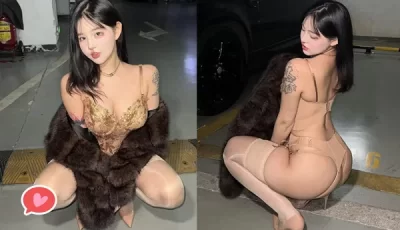 [转载搬运] 小U优优子 微密圈 最新两期 [66P+11V+400M][百度盘]