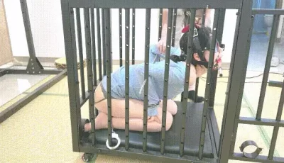 <b style='color: red;'>[已失效] </b>[转载搬运] 强制高潮调教涵涵绳艺捆绑SP开腿勒嘴束缚 阴道塞炮机全... [NV+2.29G][百度盘]