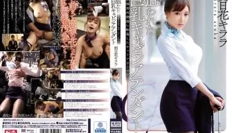 SNIS576狙われた巨乳キャビンアテンダント性欲解消肉便器に転落したキャリアウーマン明日花キうララ. [2:25:48]