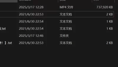 [自行打包] 怪物猎人 Minoto & Hinoa [1+712m][百度盘]