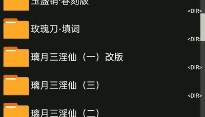 <b style='color: red;'>[已失效] </b>[自行打包] 填词小黄歌和视频 [多v+7.09g][百度盘]