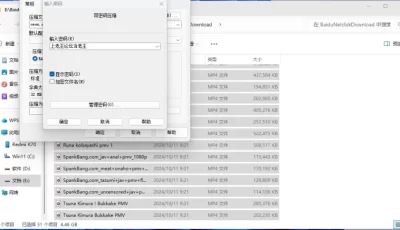 [自行打包] omen285合集（我不知道全不全） [17v+4G（多一点）][百度盘]