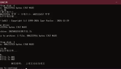 [自行打包] InitialA 期数：2025.03.19 角色： 安娜贝拉·罗兹菲尔德#最终幻想,【4k60】 [2V+800m][百度盘]