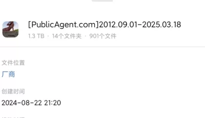 大合集！捷克街头金钱搭讪 Publicagent  全系列合集 全网首发