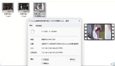 [转载搬运] 【淫母/4K】母子俩意外交配 “Nowla-美艳妈妈的意外插入” 1~3 [3v+7.27G][百度盘]