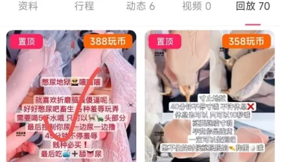 <b style='color: red;'>[已失效] </b>[转载搬运] 玩物直播20250405【你的乔乔】第一视角-控制脑残憋尿玩弄 [1v+1g][百度盘]