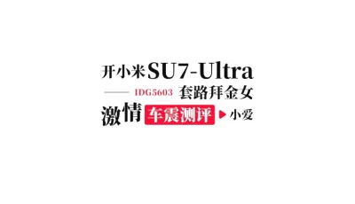 [自行打包] 小伙开小米SU7 Ultra套路乡村拜金女 撕开丁字裤后排激情车震 [1V+220M][百度盘]