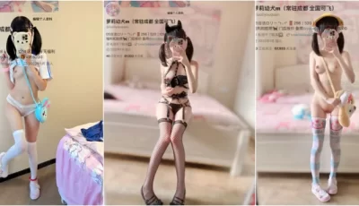 [转载搬运] 顶级双马尾萝莉【幼犬M】新作Tg资源订阅福利 [2V 23P+832M][百度盘]