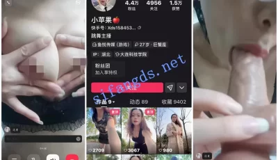 [转载搬运] 快手骚舞御姐【小苹果】顶胯1V1裸聊骚穴自慰 [8v+1.3G][百度盘]