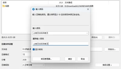 [自行打包] 特莱莎(LYAINEVAM)拼接视频及零散视图合集 [60V,61P+26.48G][百度盘]