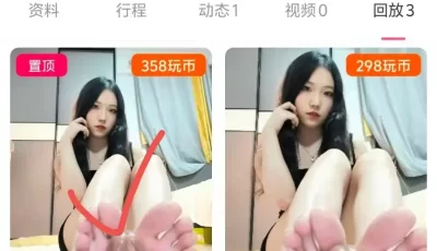 [转载搬运] 玩物直播20250428 【兰亦sama】第一视角-裸足模拟足交 [1v+500mb][百度盘]