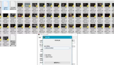 [自行打包] FuckingMachines合集第二波 [50+19.6G][百度盘]