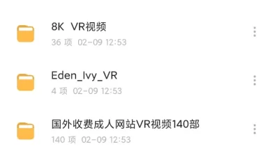 vr视频合集（pikpak网盘）