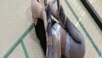 [转载搬运] 强制高潮调教『涵涵』绳艺捆绑合集，sp开腿勒嘴束缚 阴... [1+4384MB][磁力链接]