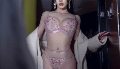 [转载搬运] 秀人网 李丽莎 最新粉色内衣超大尺度 模拟性交 [90P 3V+2.24G][百度盘]