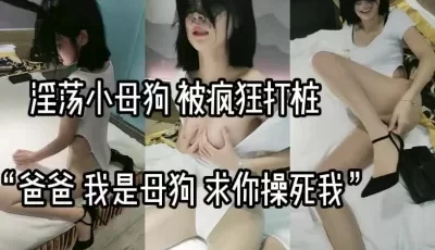 淫荡小母狗，被疯狂打桩 [28:19]