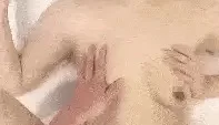 [转载搬运] 【 奶球的球迷车模闺蜜】无套操得乳浪迭起，菊花破处，... [2+6103MB][磁力链接]