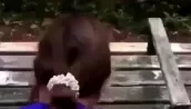 良家大姐，老公出差了，在家寂寞的很，约我出去遛弯，公园里没人果断后入 [03:17]