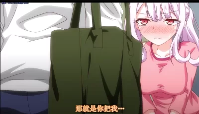 [自行打包] 姐姐和Boine 4k [2+4.92 GB][百度盘]