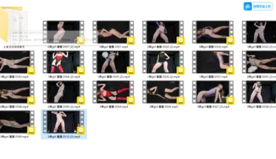 [自行打包] 【回顾】黑girl 童童 05 [19V+3.86G][百度盘]