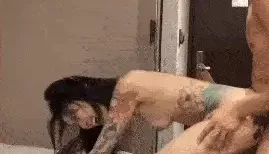 [转载搬运] OF露脸顶级身材反差刺青纹身美女与巨屌男友各种姿势性爱... [2+5414MB][磁力链接]