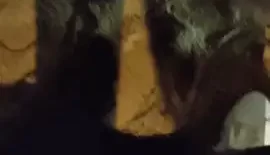 [转载搬运] 超刺激街射  小姐姐主动翘起屁股迎合你！公共场所大胆射 [43v+6.04g][百度盘]