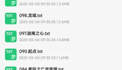 起点爆款小说前两百名合集，txt格式