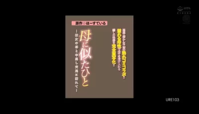 [转载搬运] 漫改av了 [1+3.3G][磁力链接]