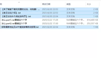 [转载搬运] 玩物直播20250522 【冰山S】第一视角-憋尿憋精挑战 [1v+800mb][百度盘]