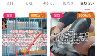 [转载搬运] 玩物直播20250524 【是拽拽唉】第一视角-锁内流精 [1v+200mb][百度盘]