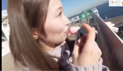 [转载搬运] 找了好久的片在站内大佬的帮助下终于找到了给大家分享一下。 [1v+9.5G][磁力链接]