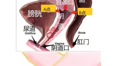 [自行打包] 处女膜辨别科普【上百张实图】【pdf】 [本+17MB][百度盘]