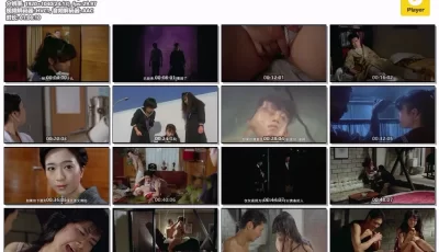 [转载搬运] 【日本三级】团鬼六：少女木马责罚 西川瀬里奈 AI修复版 ... [1V+2.84G][bt种子]