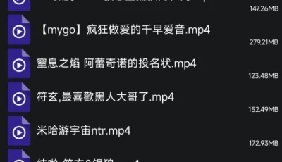 [自行打包] 自己收藏的mmd(四十七)--绝大多数是ntr [10-20+10G][百度盘]