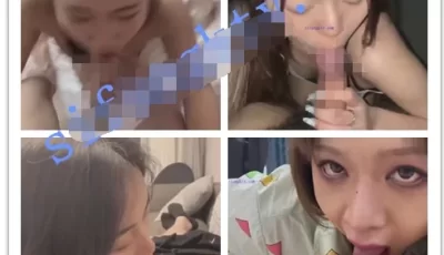[转载搬运] 【精品合集】淫妻母狗反差婊口交篇 [1V+2.23G][磁力链接]