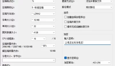[自行打包] 推特母狗叮咚 [NvNp+965mb][百度盘]