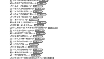 [转载搬运] 不知名工作室绳艺合集 [nv+22g][磁力链接]