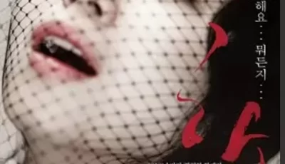 【全度妍为艺术献身的电影】下女（2010） 简中字幕 1080p