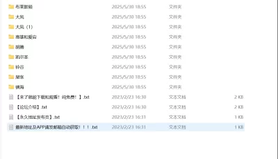 [自行打包] [生肉]FANBOX-ON-碧蓝航线NTR [207p+62.07MB][百度盘]