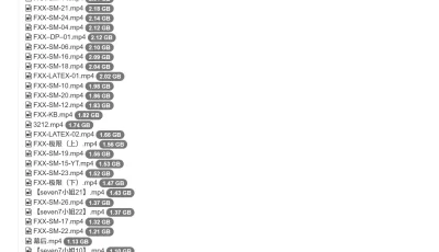 [转载搬运] FXX以及seven7重口拘束合集 [nv+498g][bt种子]
