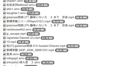 [转载搬运] 危机系列绳艺小合集 [nv+20.42g][磁力链接]