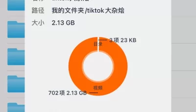 [转载搬运] TIKTOK短视频 [702v+2g][百度盘]